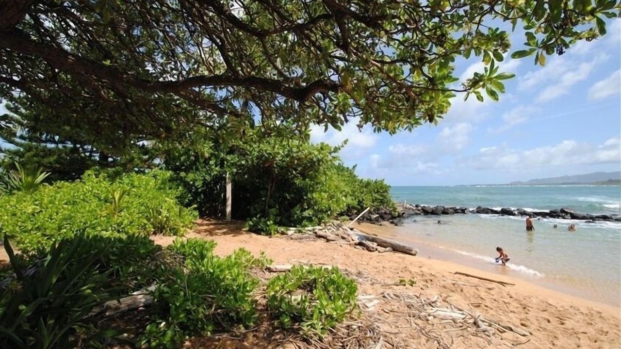 Photo of Others in Wailua