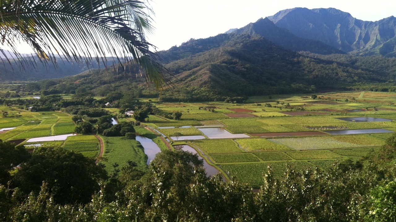 Photo of Others in Wailua