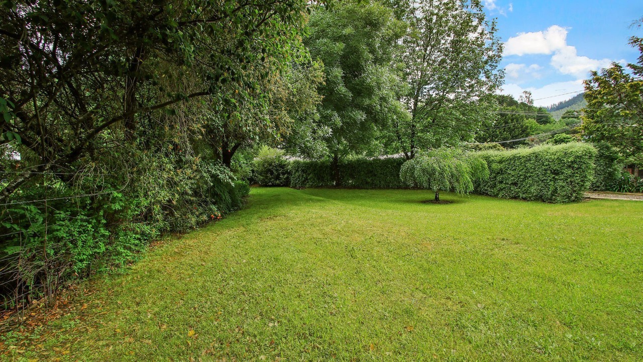 Photo of Outdoor in Bright