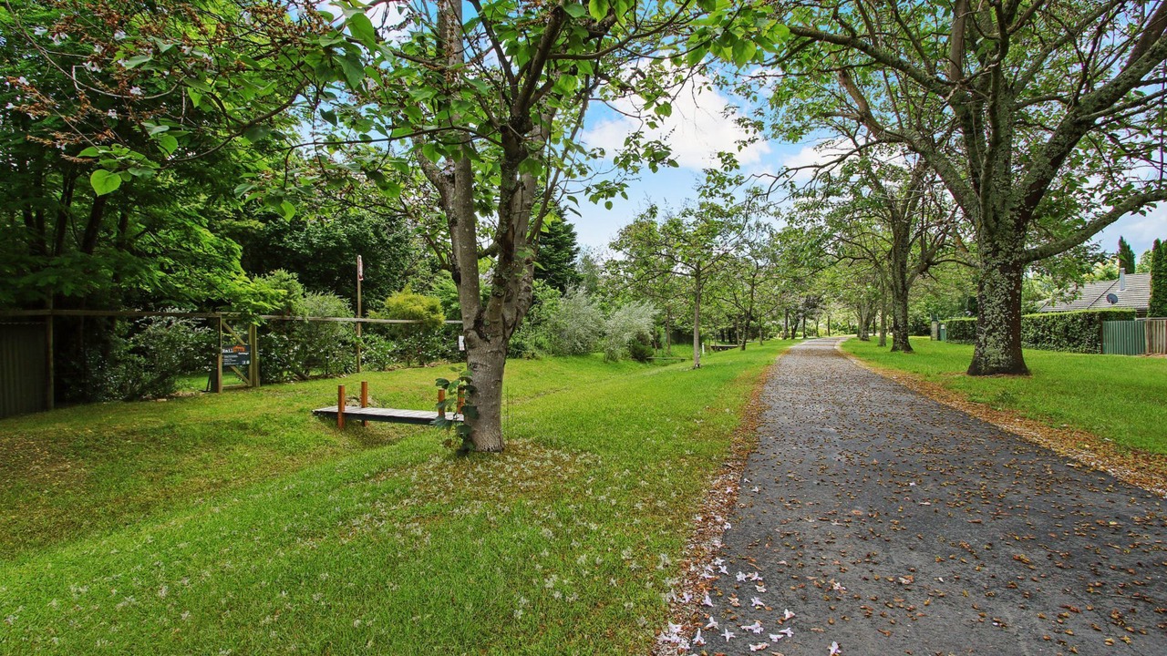 Photo of Outdoor in Bright