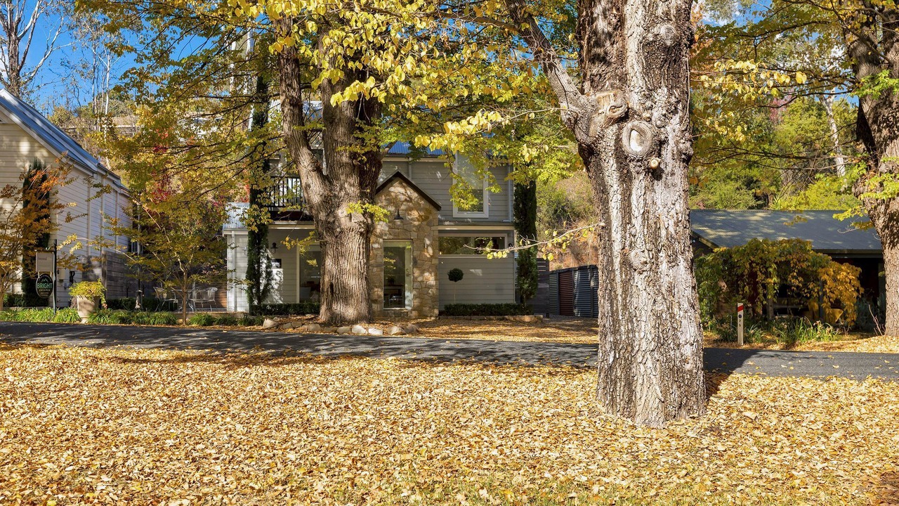 Photo of Outdoor in Bright