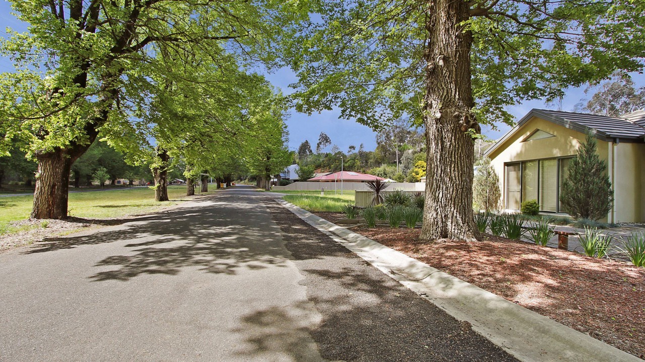 Photo of Outdoor in Bright