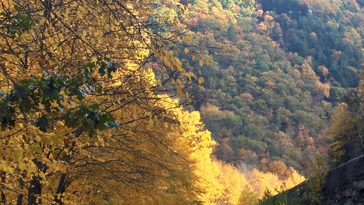 Photo of Others in Ashfield