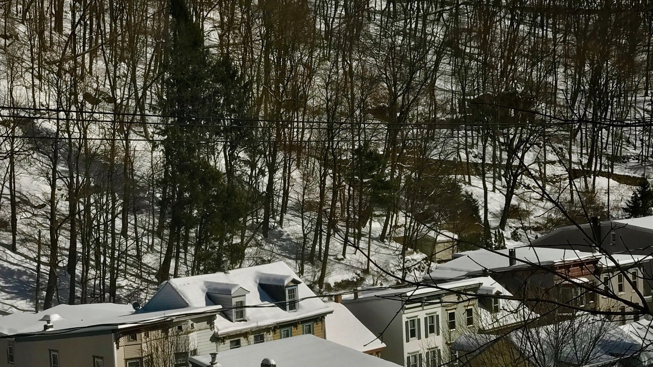 Photo of Outdoor in Ashfield