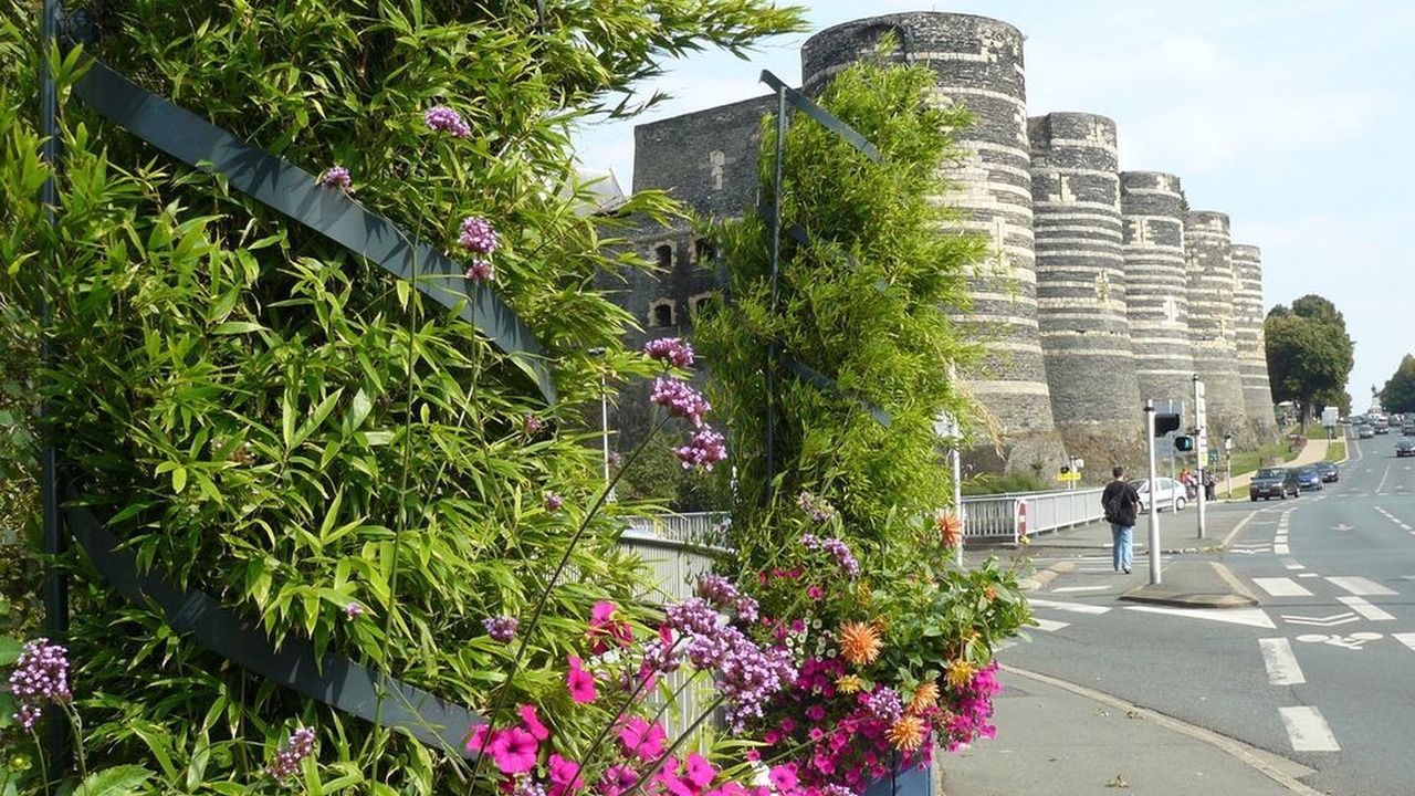 Photo of Outdoor in Murs-Erigne