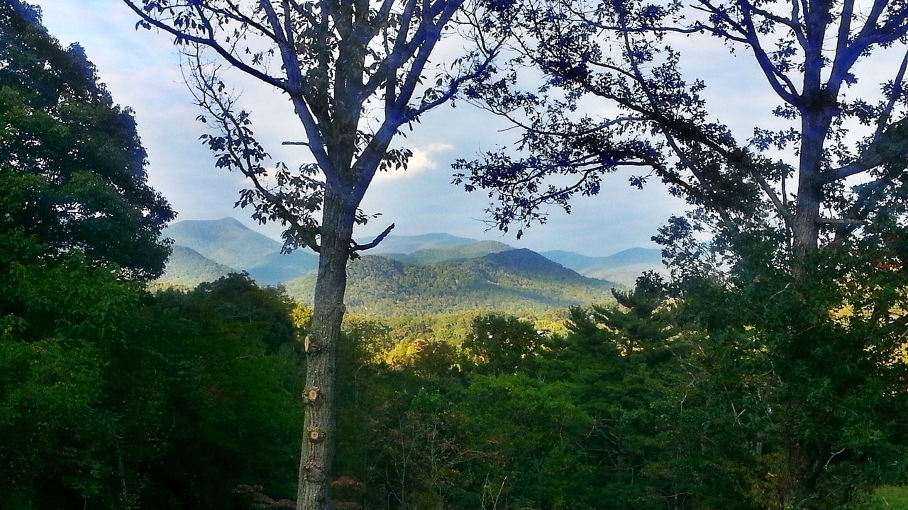 Photo of Outdoor in Asheville