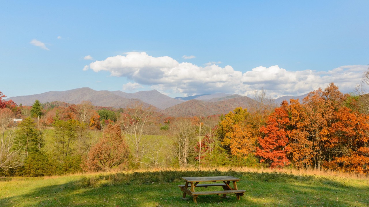 Photo of Others in Asheville