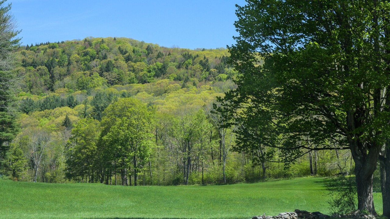 Photo of Others in Tyringham
