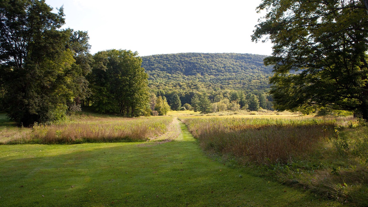 Photo of Outdoor in Tyringham