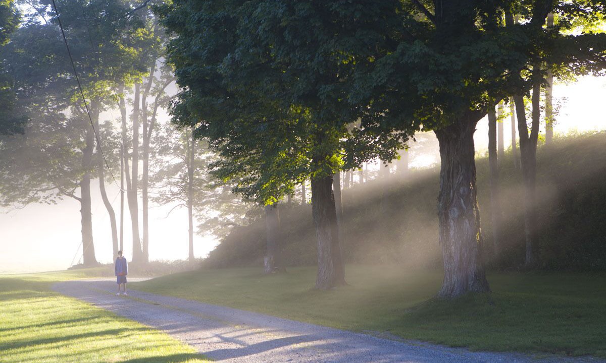 Photo of Others in Tyringham