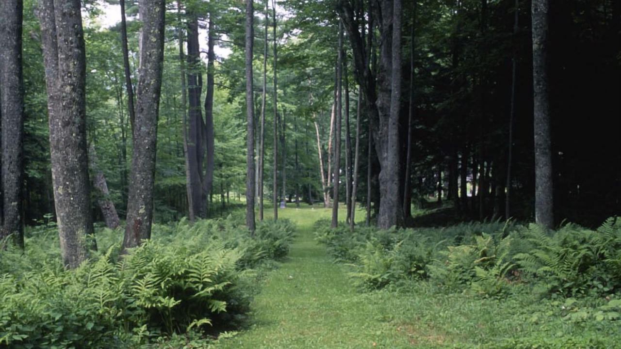 Photo of Others in Tyringham