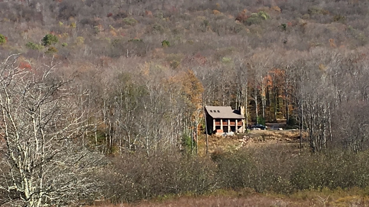 Photo of Others in Timberline