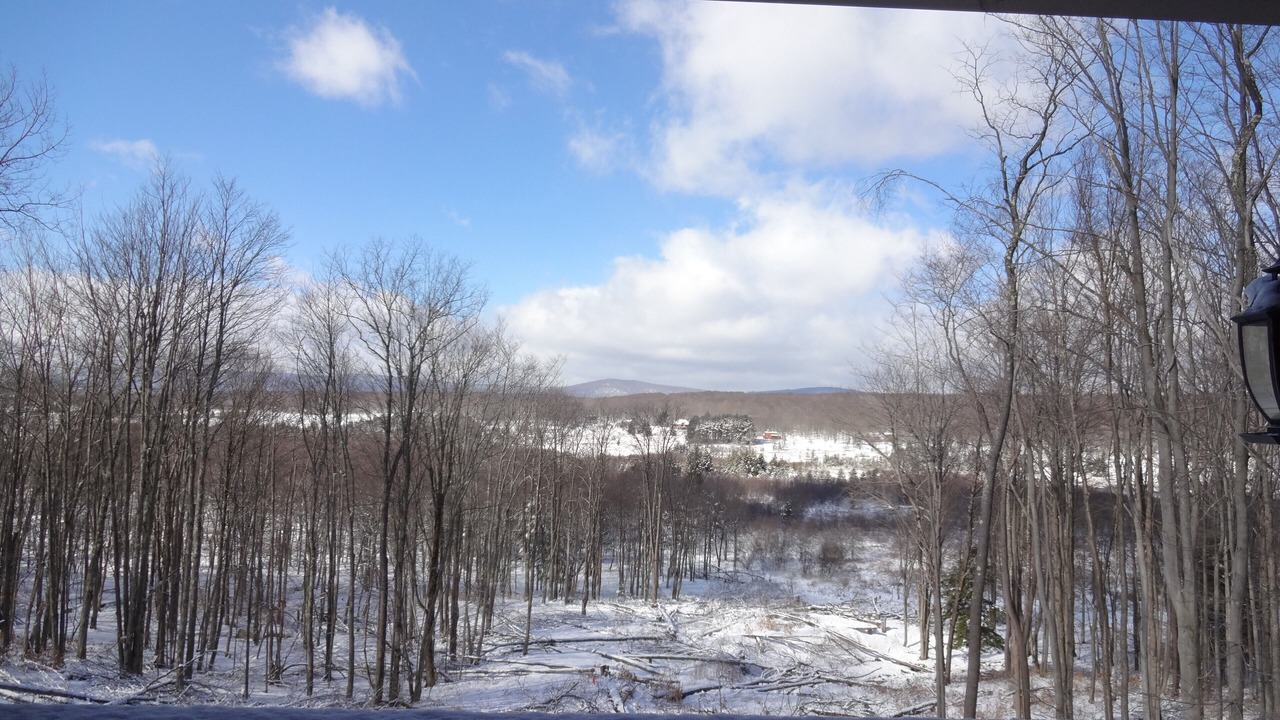 Photo of Others in Timberline