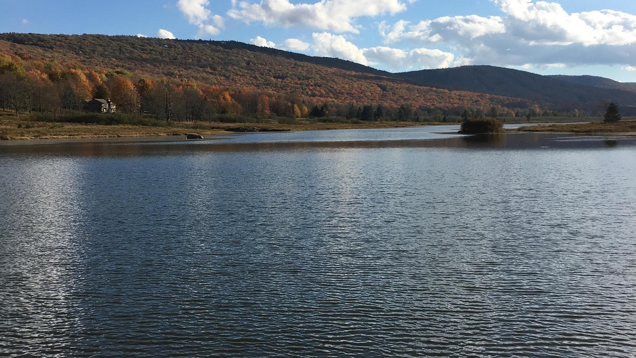 Photo of Outdoor in Timberline