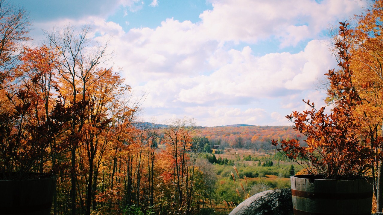 Photo of Others in Timberline
