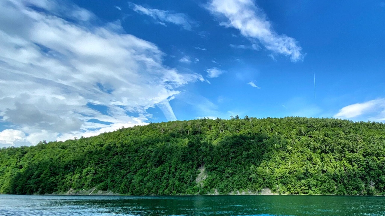 Photo of Others in Cooperstown