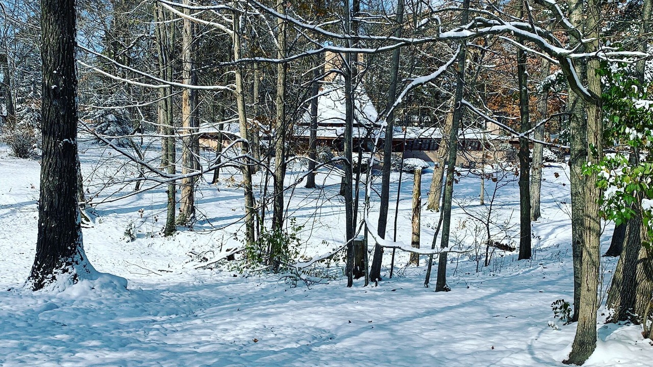 Photo of Others in Marion