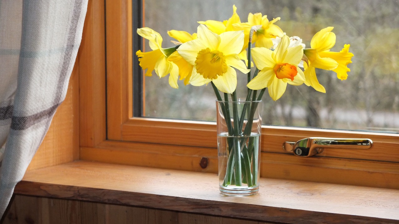 Photo of Bedroom in Dallavich