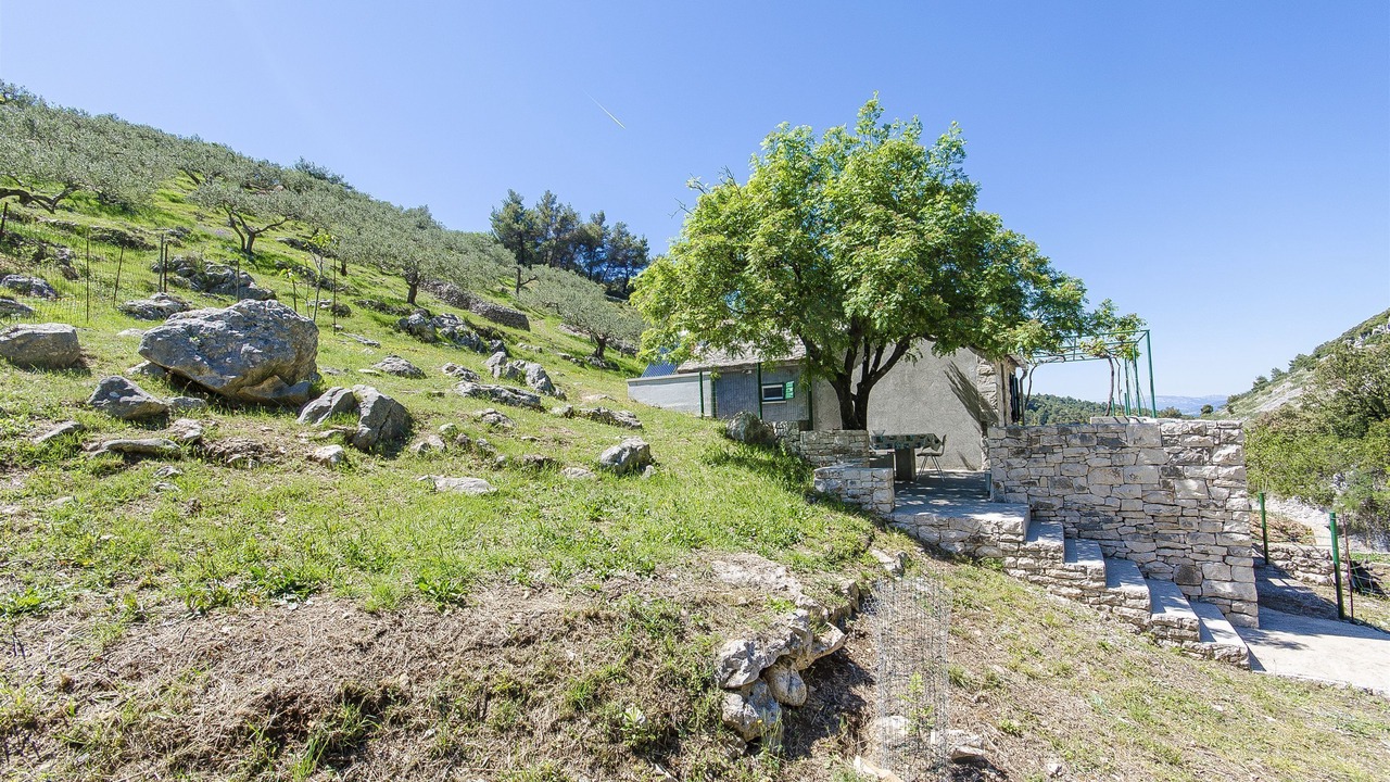 Photo of Outdoor in Praznica