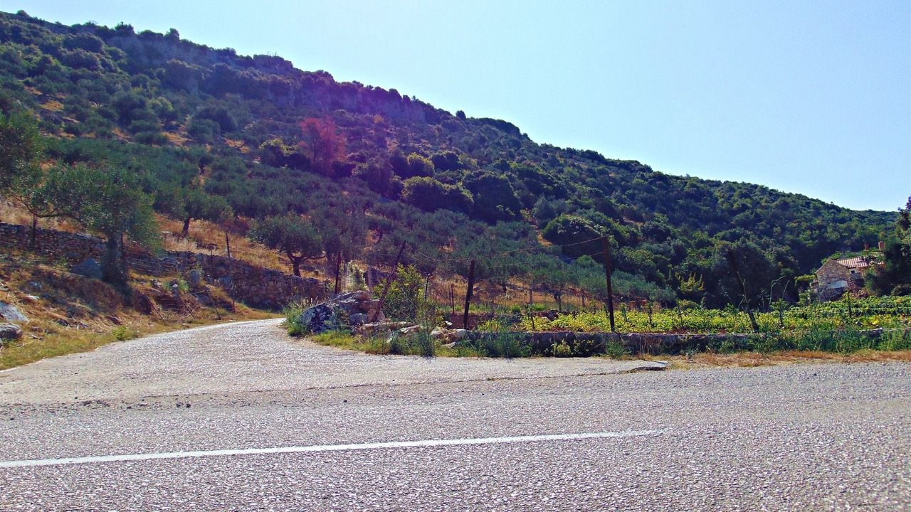 Photo of Outdoor in Praznica