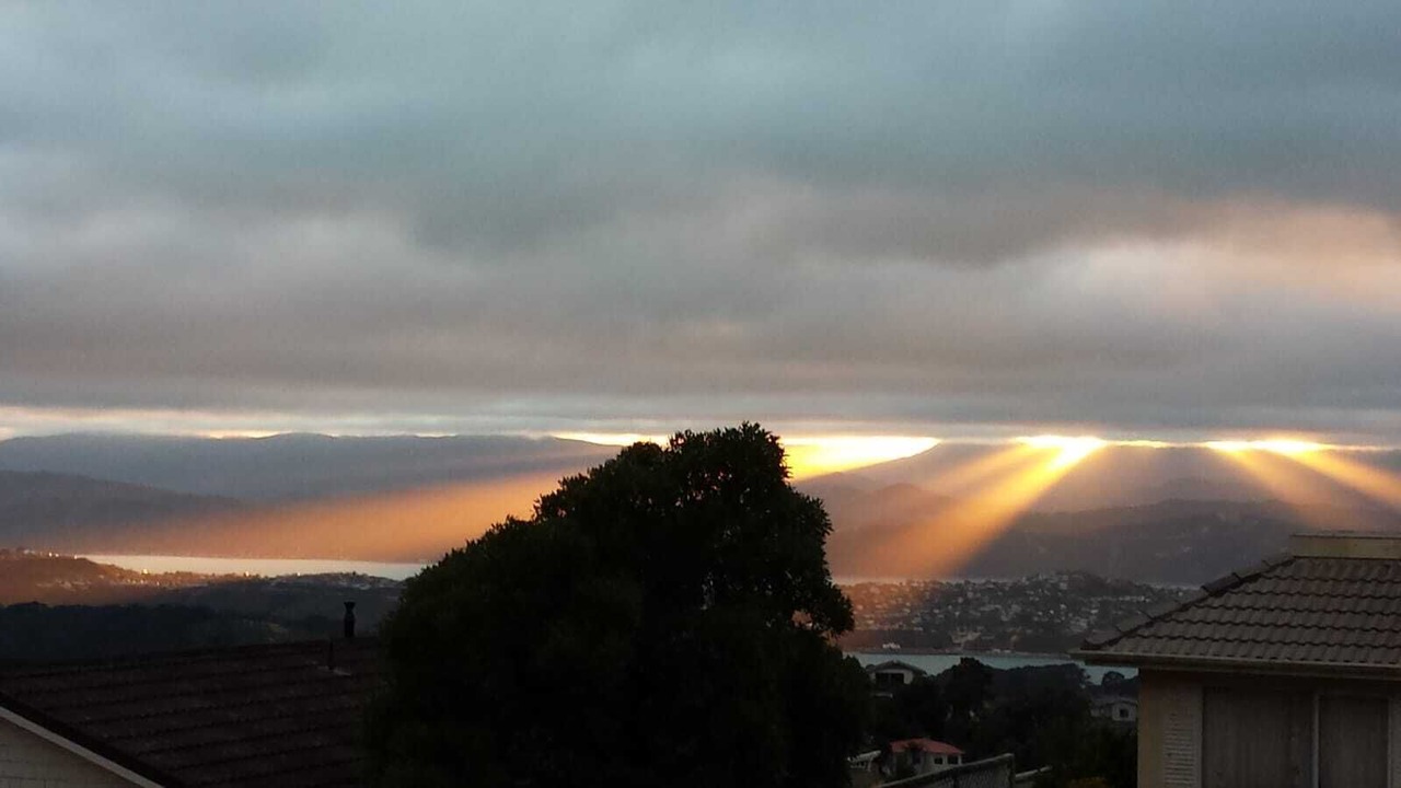 Photo of Others in Brooklyn