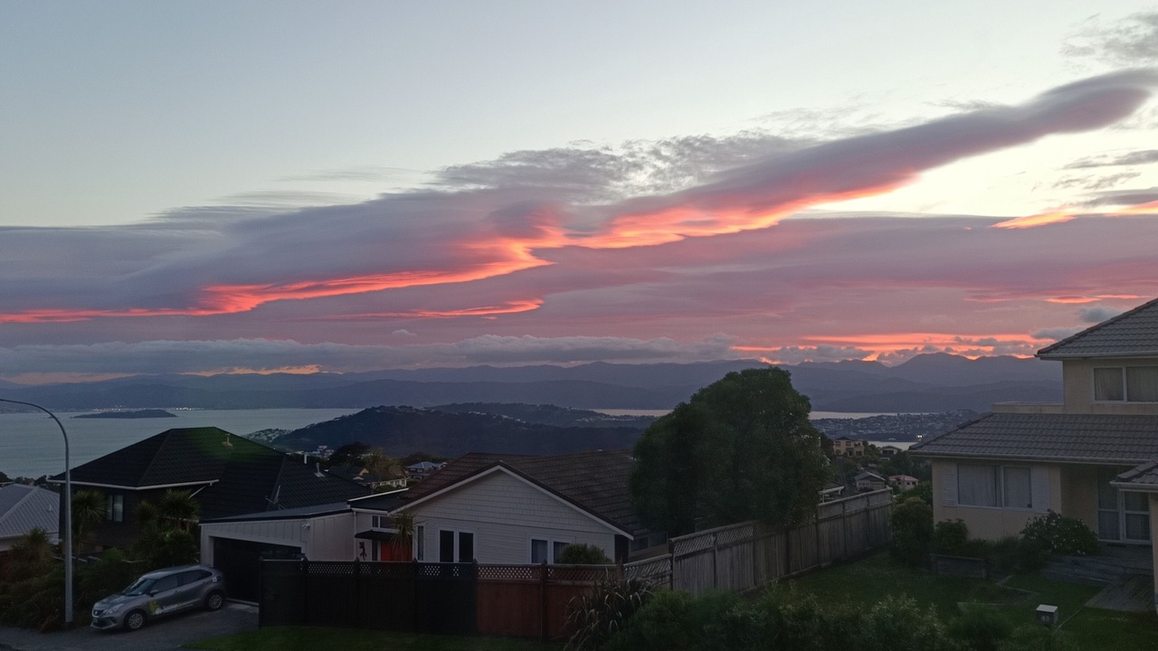 Photo of Others in Brooklyn