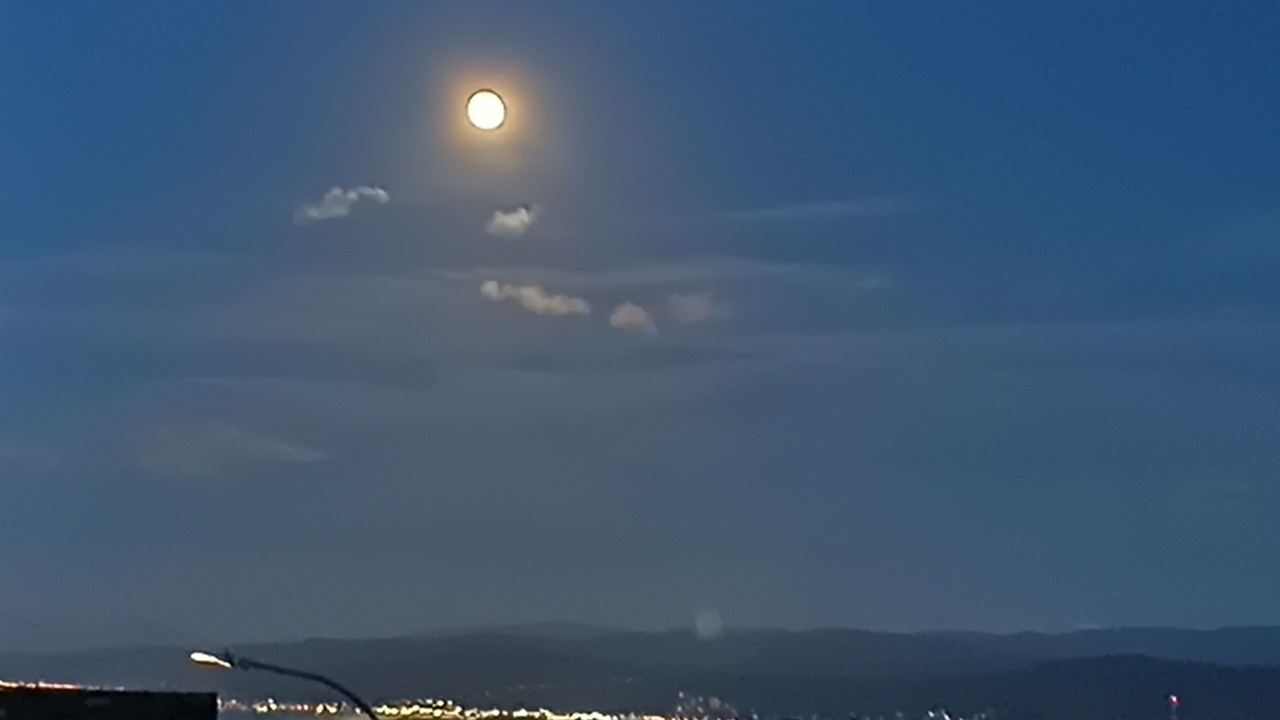 Photo of Others in Brooklyn