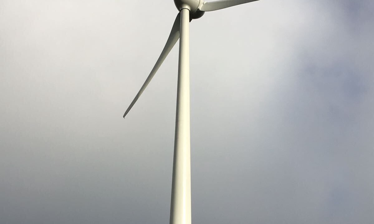 Photo of Others in Brooklyn