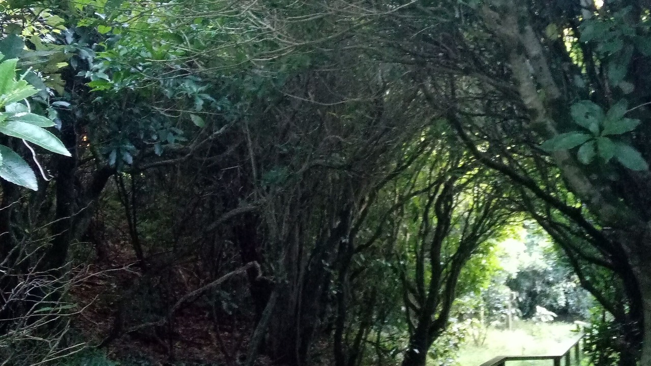 Photo of Others in Brooklyn