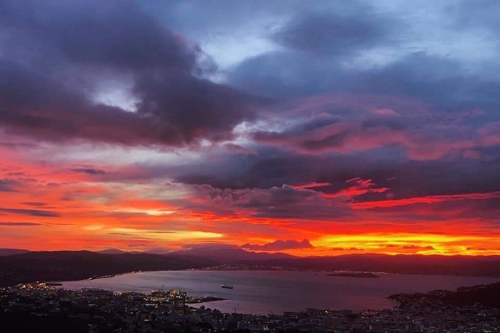 Photo of Others in Brooklyn