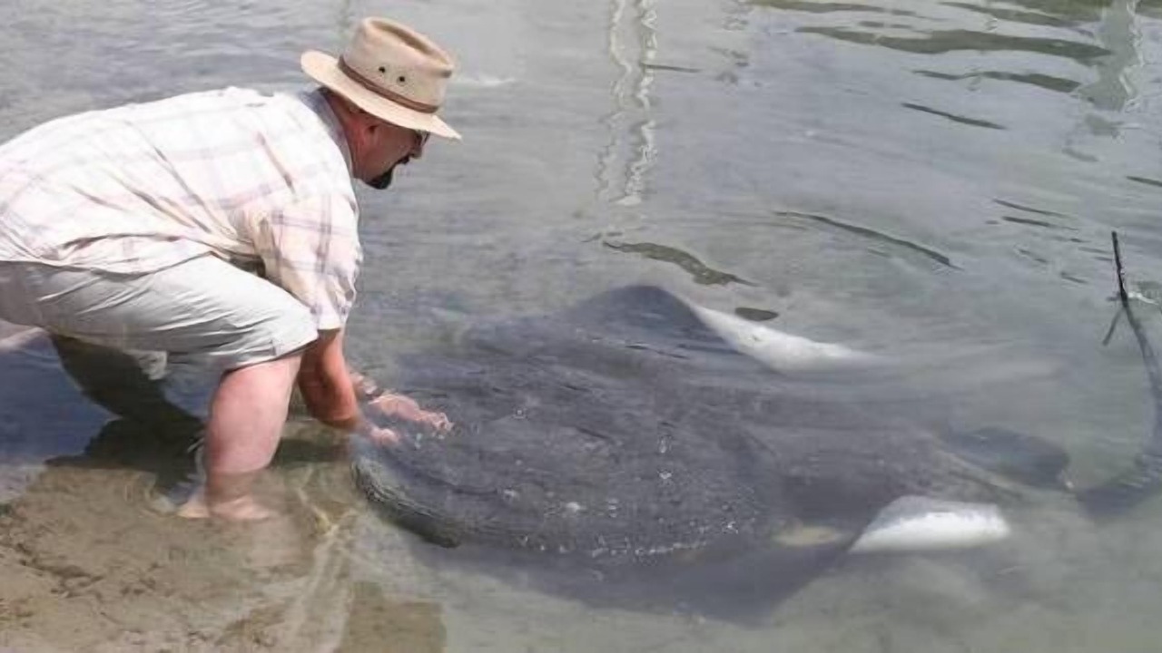 Photo of Others in Cape Paterson