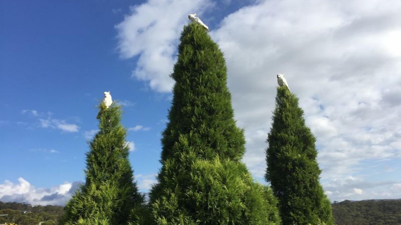 Photo of Outdoor in Mount Victoria