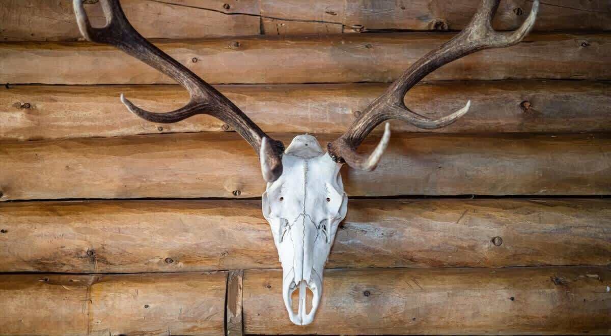 Photo of Others in Red Lodge