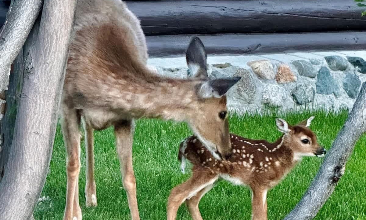 Photo of Others in Red Lodge