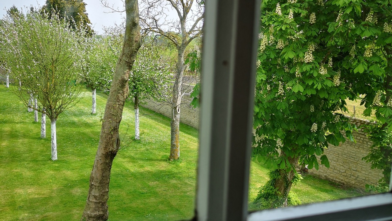 Photo of Others in Le Manoir