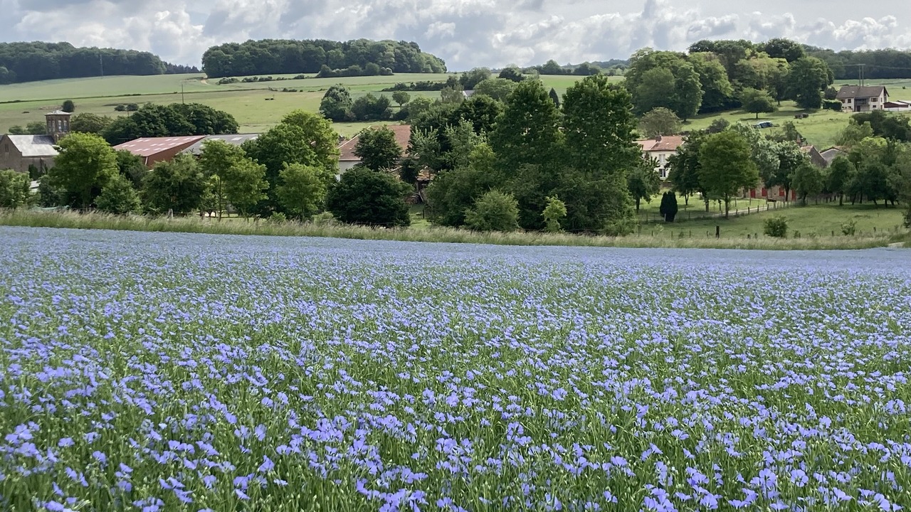 Photo of Outdoor in Autreville-Saint-Lambert
