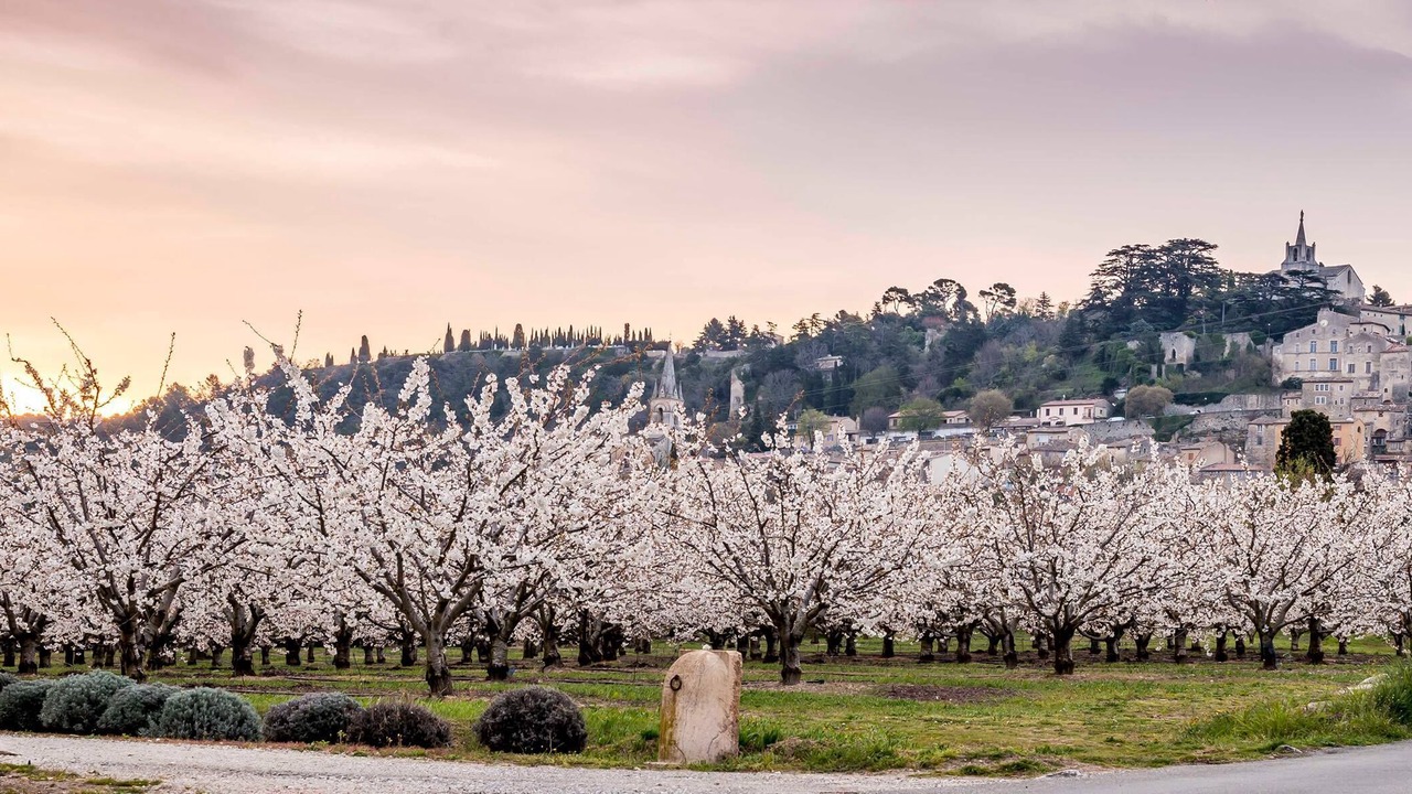 Photo of Outdoor in Bonnieux