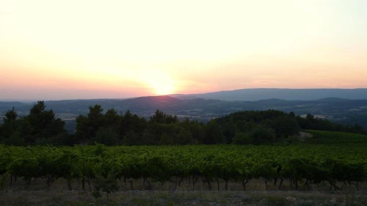 Photo of Others in Bonnieux