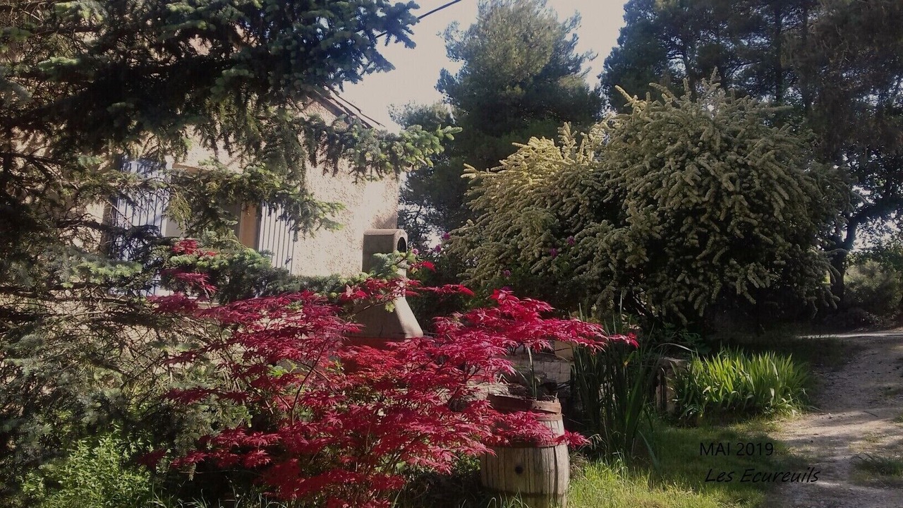 Photo of Outdoor in Bonnieux