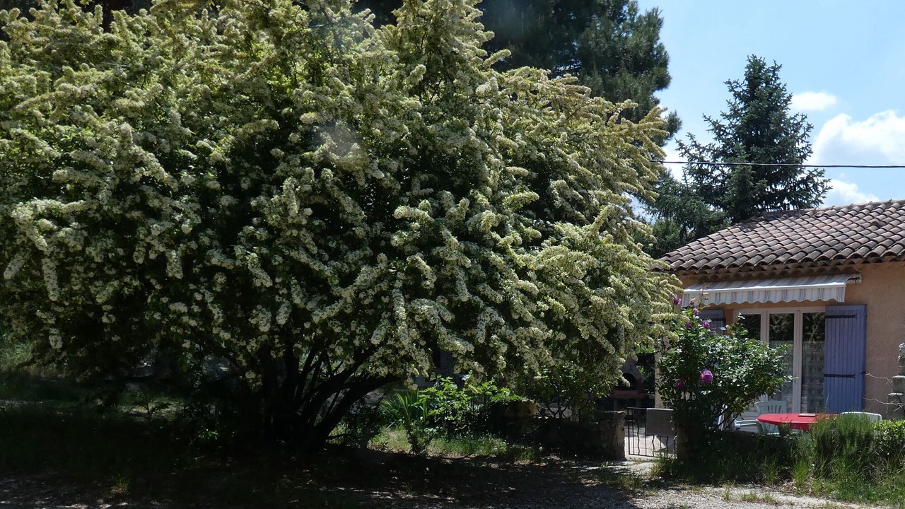 Photo of Outdoor in Bonnieux