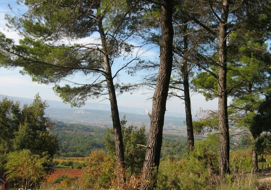 Photo of Outdoor in Bonnieux