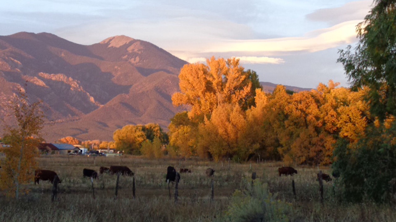 Photo of Others in Taos