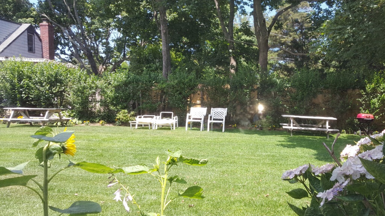 Photo of Outdoor in Aquebogue