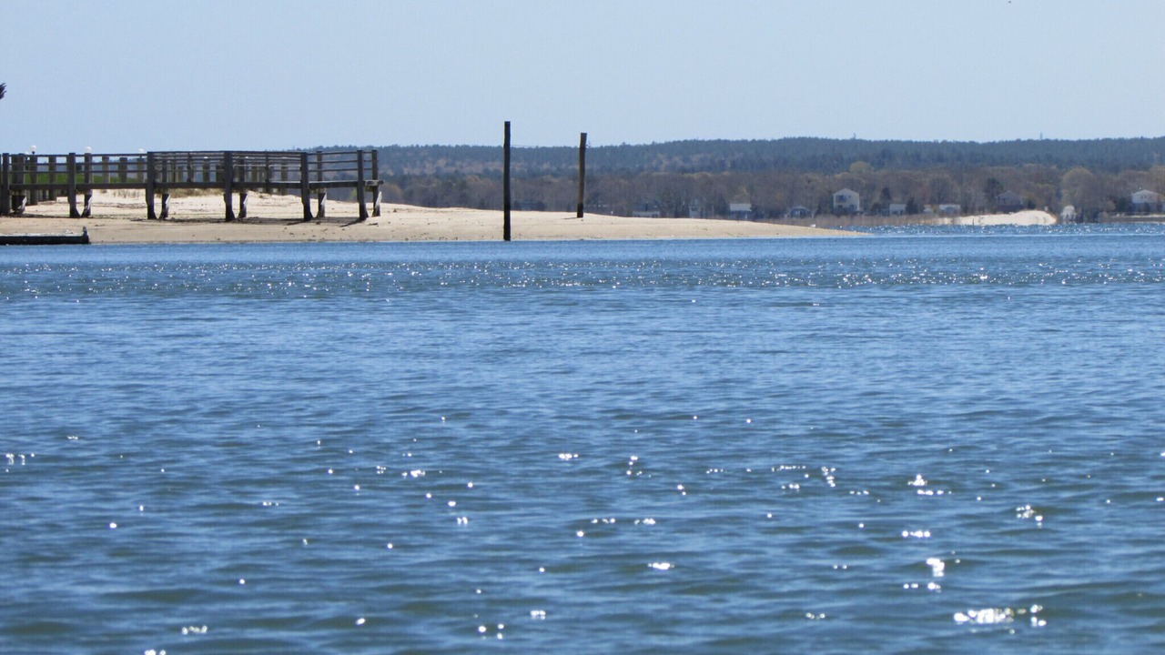 Photo of Others in Aquebogue