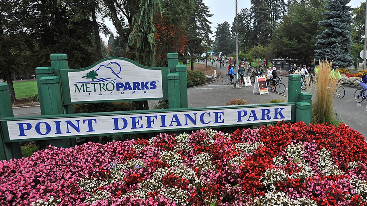 Photo of Others in New Tacoma