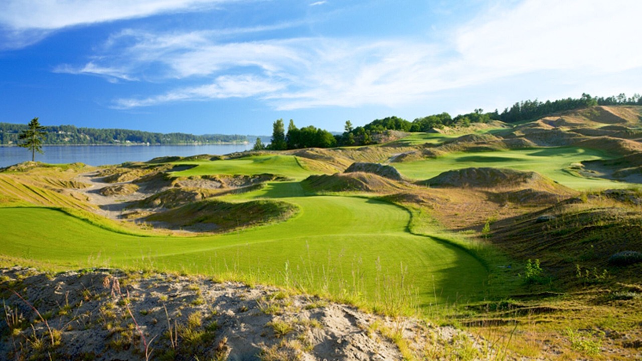 Photo of Others in New Tacoma