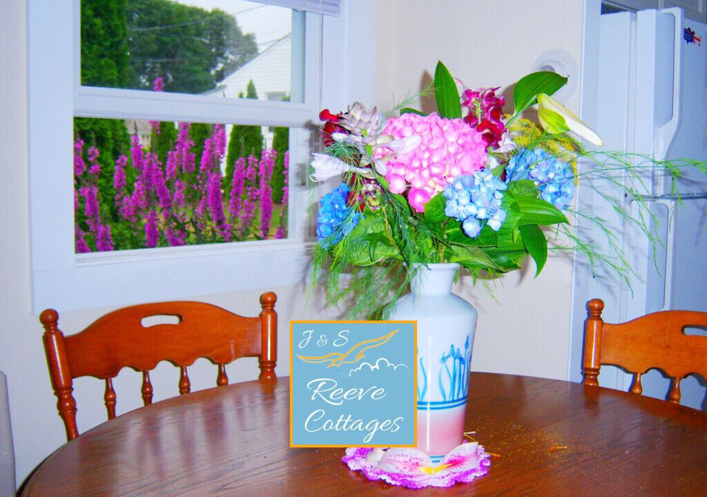 Photo of Others in Aquebogue