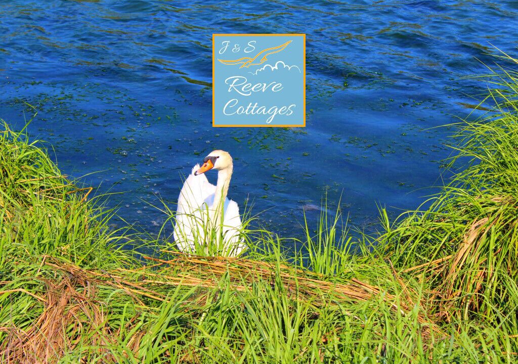 Photo of Outdoor in Aquebogue