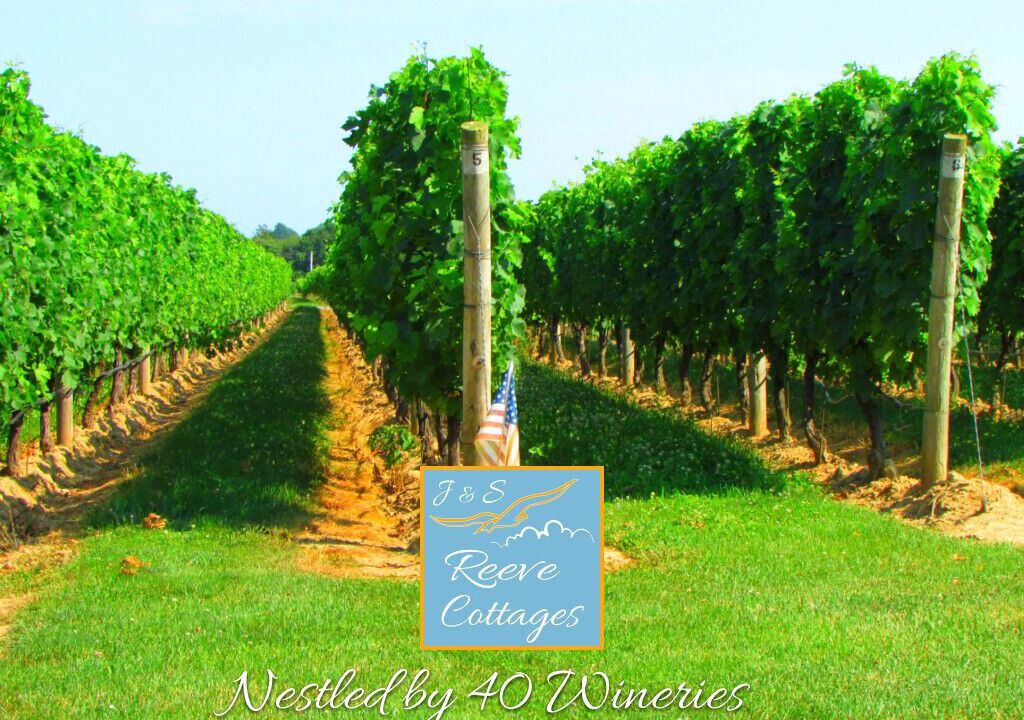 Photo of Outdoor in Aquebogue