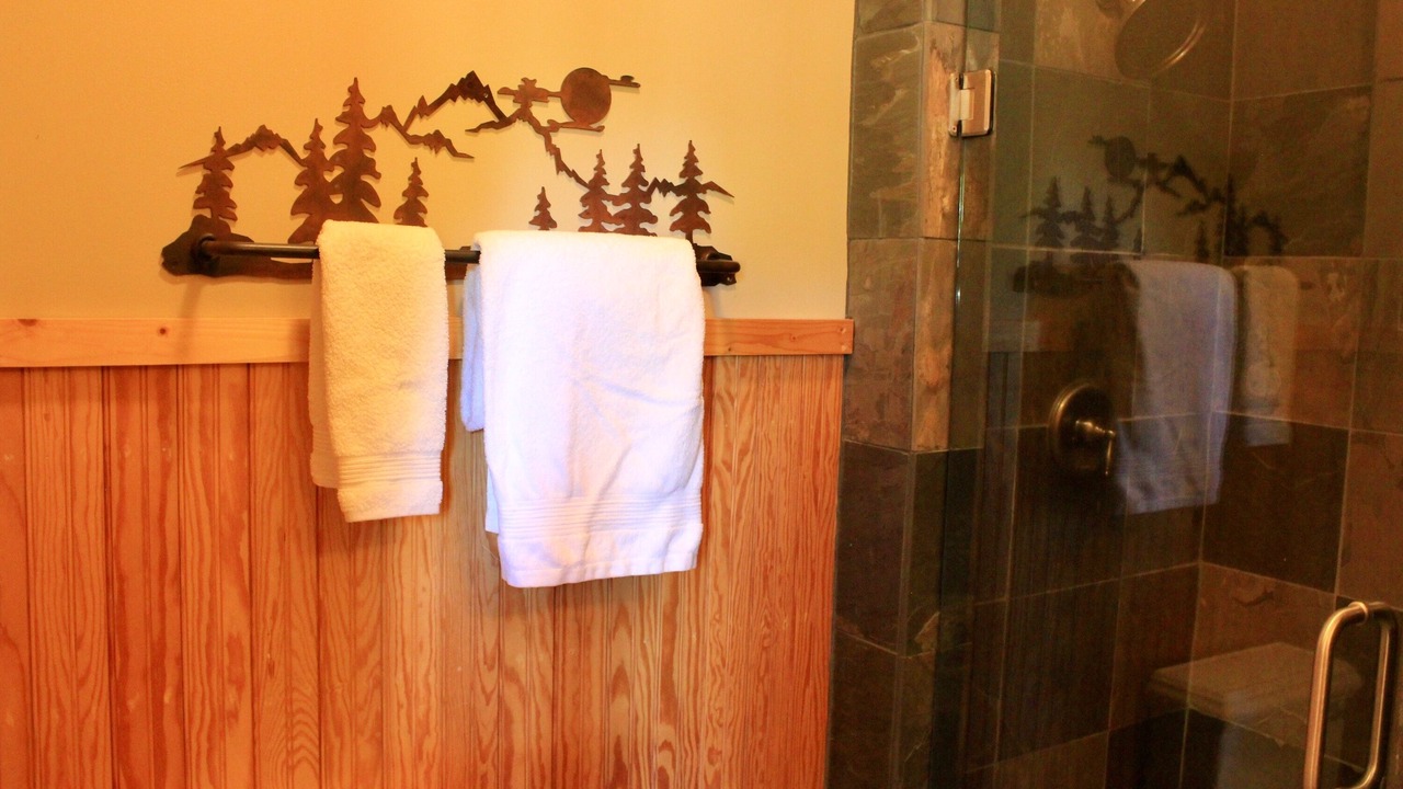 Photo of Bathroom in Pisgah